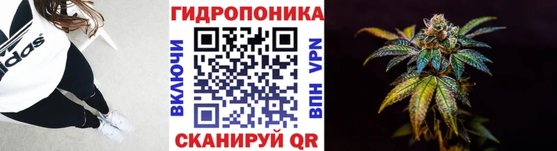 Где купить наркотики Новотроицк COCAIN  АМФ  Экстази  mega как войти  Конопля  Меф мяу мяу  ГАШ 
