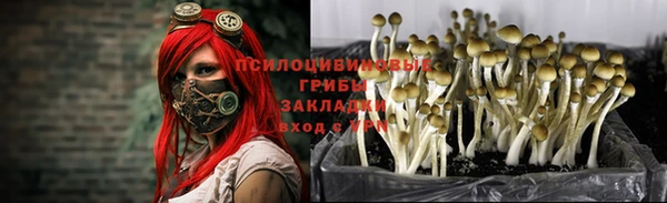 экстази Балахна