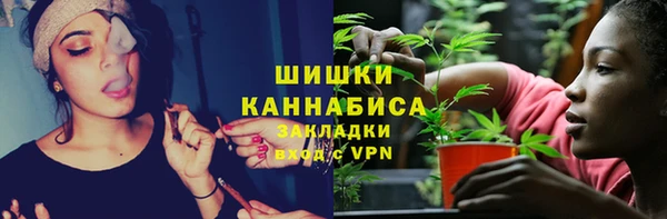 spice Арсеньев