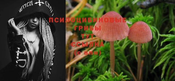 стафф Аркадак