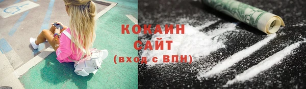 мдпв Няндома