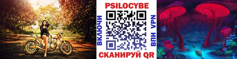 Галлюциногенные грибы мицелий  Новотроицк 